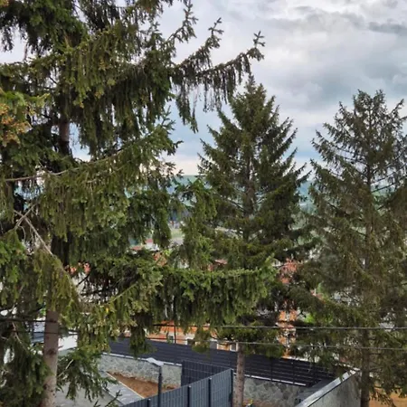 Natura Sarajevo *