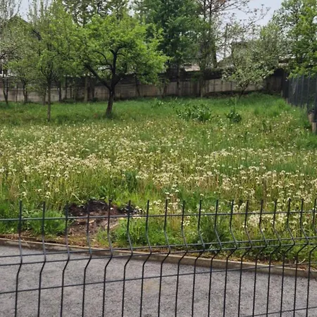 Natura Sarajevo